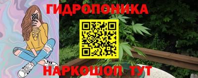 spice Моздок