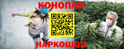 стаф Малоярославец