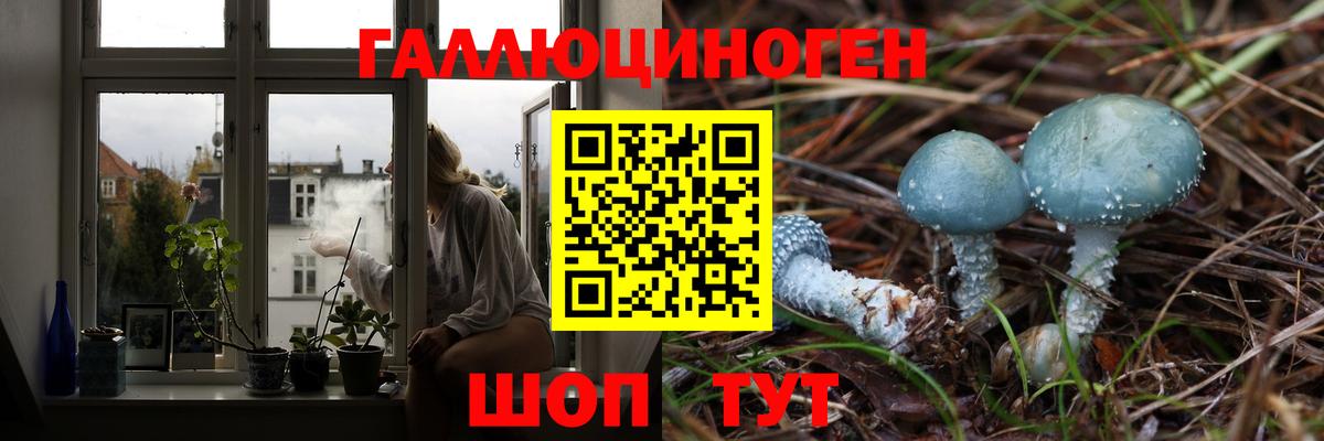 Верхний Уфалей  Галлюциногенные грибы прущие грибы  Вход с VPN 